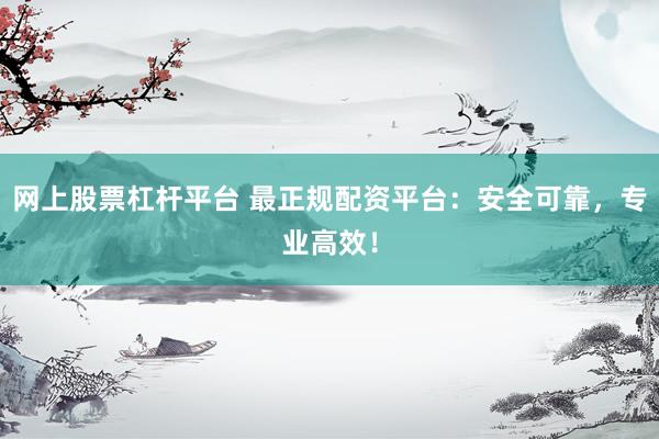 网上股票杠杆平台 最正规配资平台：安全可靠，专业高效！