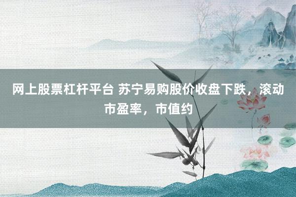 网上股票杠杆平台 苏宁易购股价收盘下跌，滚动市盈率，市值约