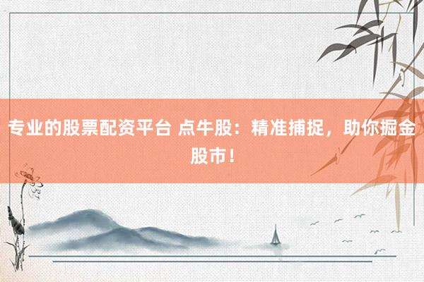 专业的股票配资平台 点牛股：精准捕捉，助你掘金股市！