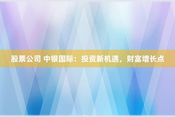 股票公司 中银国际：投资新机遇，财富增长点