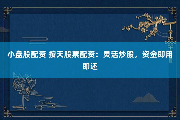 小盘股配资 按天股票配资：灵活炒股，资金即用即还
