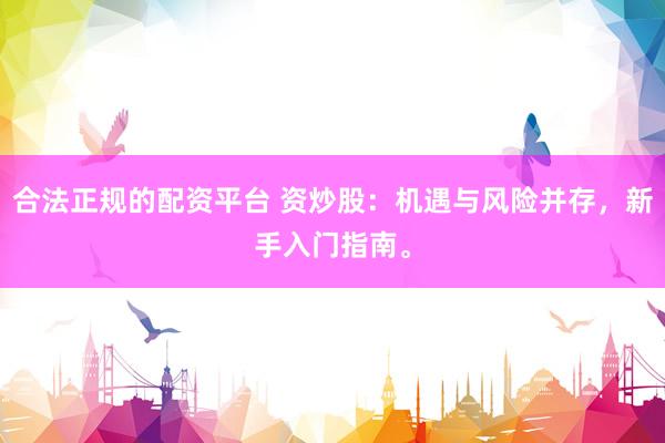 合法正规的配资平台 资炒股：机遇与风险并存，新手入门指南。