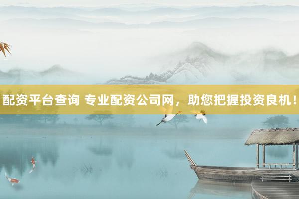 配资平台查询 专业配资公司网，助您把握投资良机！