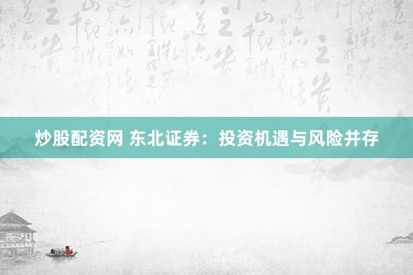 炒股配资网 东北证券：投资机遇与风险并存
