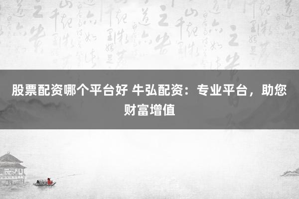 股票配资哪个平台好 牛弘配资：专业平台，助您财富增值