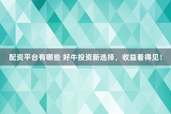 配资平台有哪些 好牛投资新选择，收益看得见！