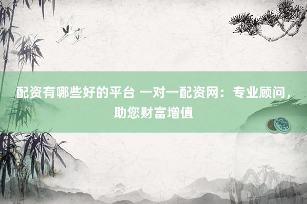 配资有哪些好的平台 一对一配资网：专业顾问，助您财富增值
