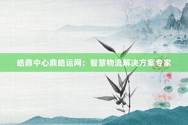 皓鼎中心鼎皓运网:智慧物流解决方案专家