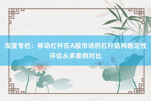 深度专栏：移动杠杆在A股市场的杠杆结构稳定性评估从多案例对比